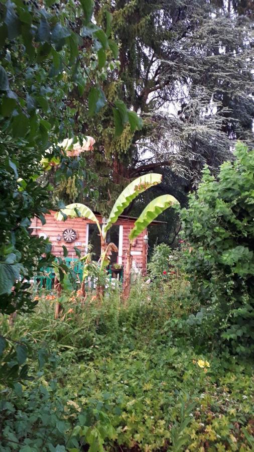Le Jardin Des Merveilles Saint-Pierre-d'Autils Ngoại thất bức ảnh