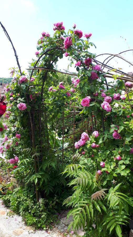 Le Jardin Des Merveilles Saint-Pierre-d'Autils Ngoại thất bức ảnh