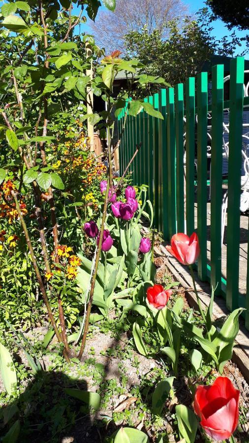 Le Jardin Des Merveilles Saint-Pierre-d'Autils Ngoại thất bức ảnh